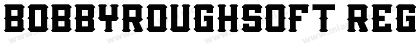 BOBBYROUGHSOFT REGUL字体转换